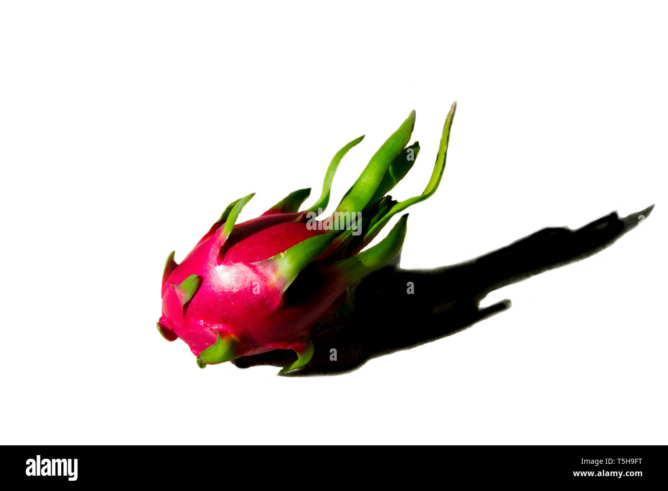 Pitaya Dragon Fruit Stock Photo