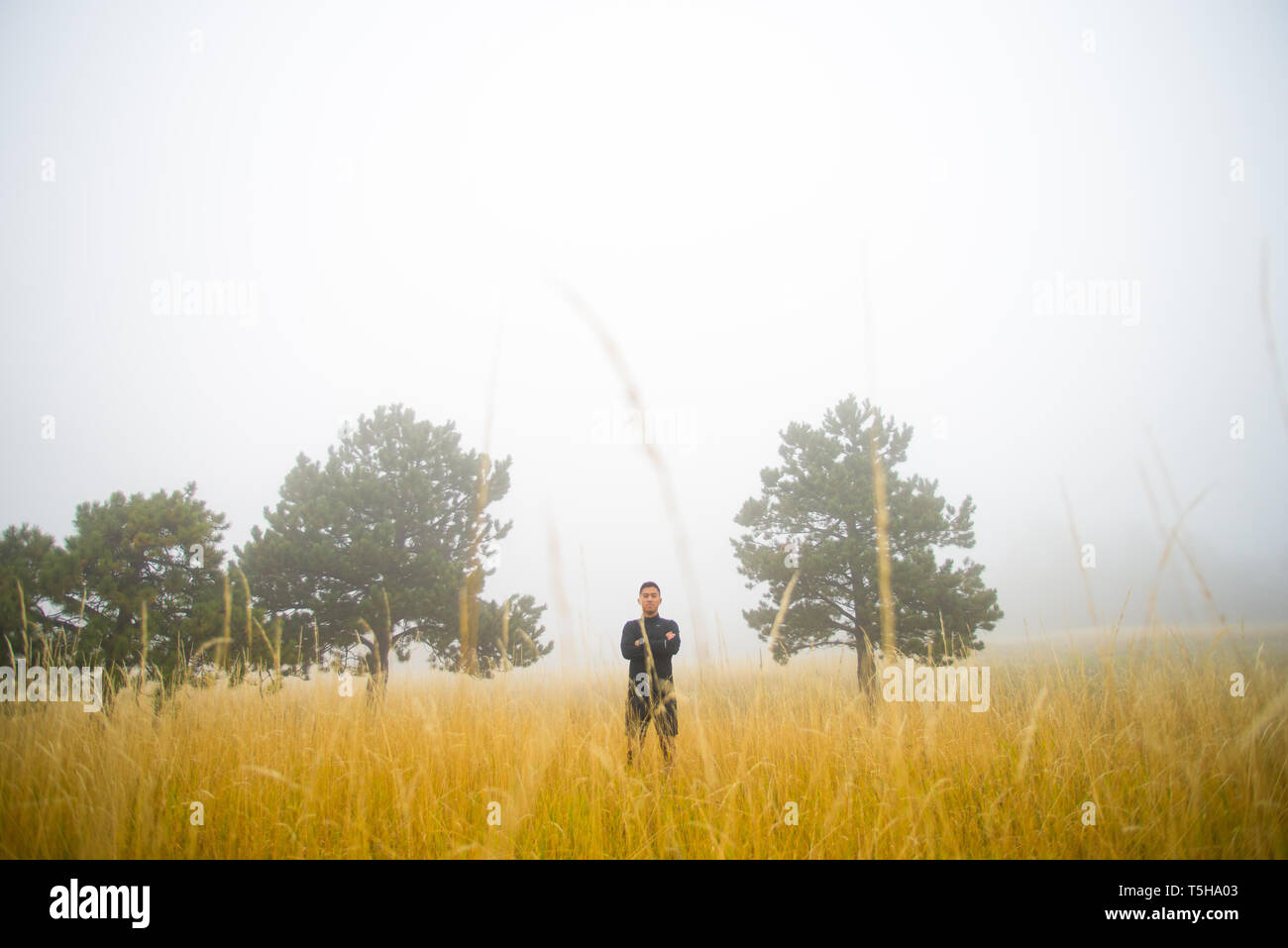 Man in Black Standing in Field Stock Photo