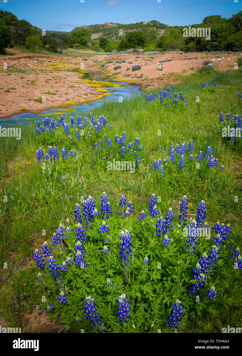 The Texas Hill Country is a twenty-five county region of Central Texas and South Texas. Stock Photo