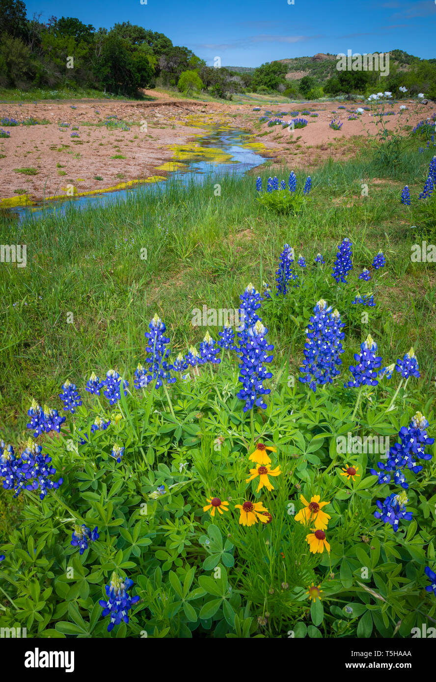 The Texas Hill Country is a twenty-five county region of Central Texas and South Texas. Stock Photo