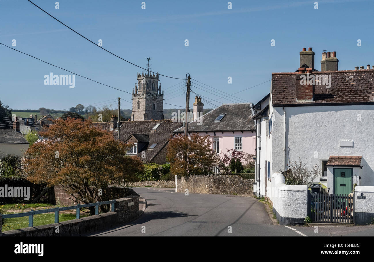 View looking through the village to the church of St Andrew, Colyton