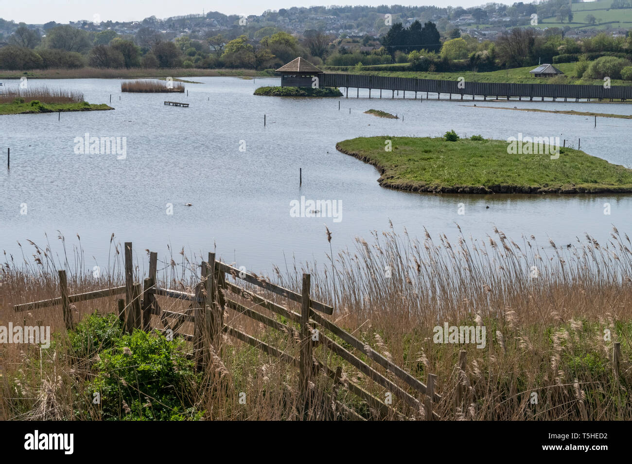 Seaton wetlands, sitting beside the River Axe in the Axe valley, Devon, England, UK Stock Photo