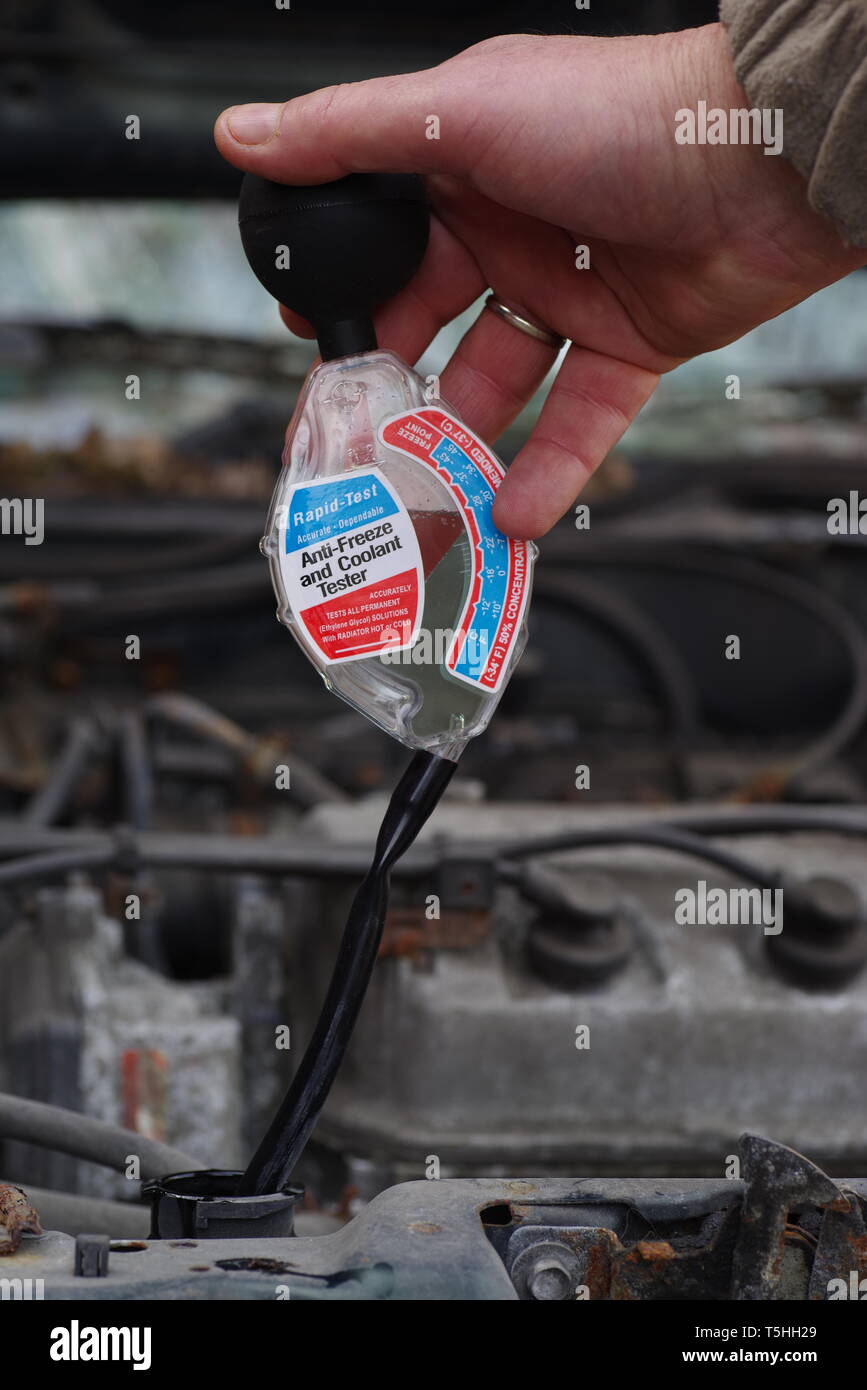 Checking antifreeze strength in car radiator Stock Photo Alamy
