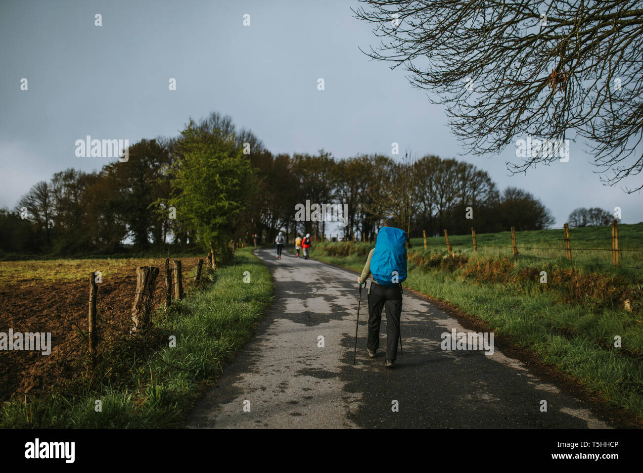 Pilgrim with blue backpack walking in the Camino de Santiago way on a
