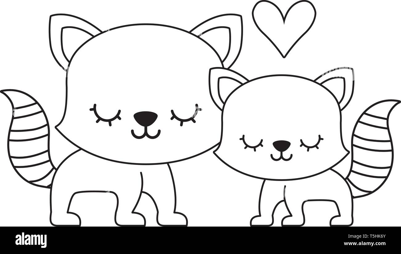 cute cats couple isolated icon vector illustration design icon