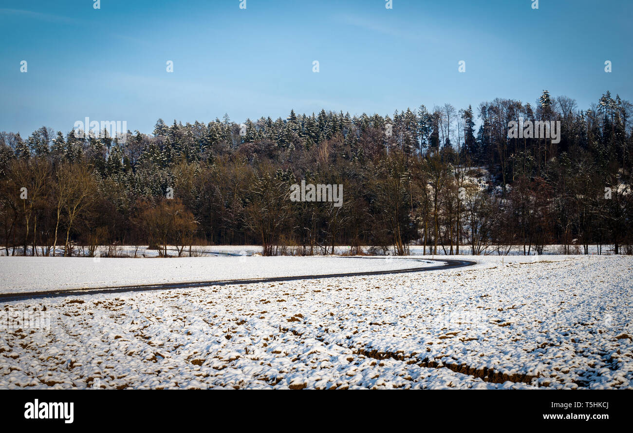 Water Frozen Conifer Forest High Resolution Stock Photography and ...