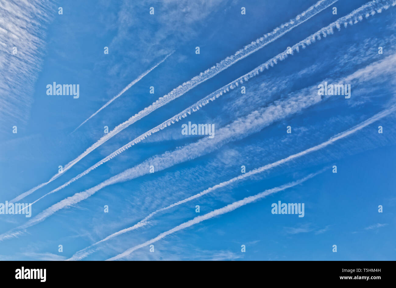 Airplane trail on a clean blue sky in Washington DC Stock Photo
