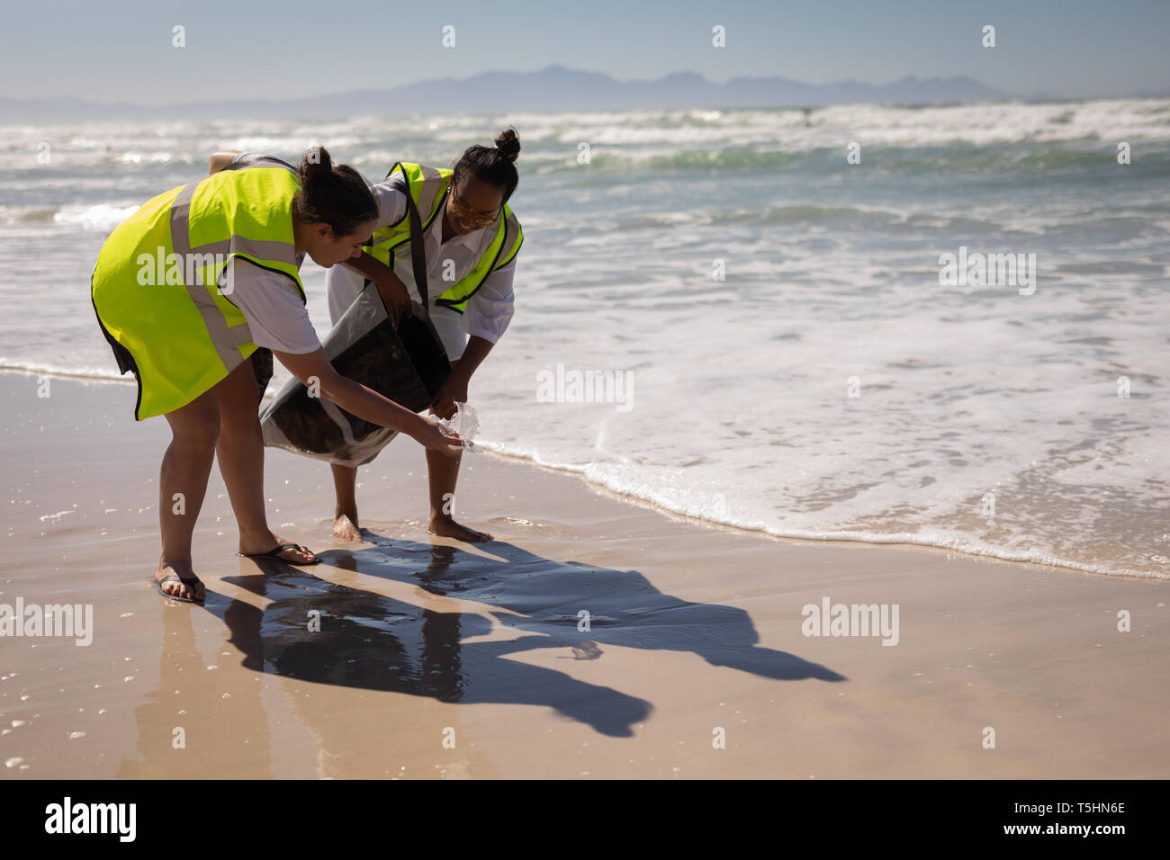 Volunteers cleaning beach on a sunny day Stock Photo