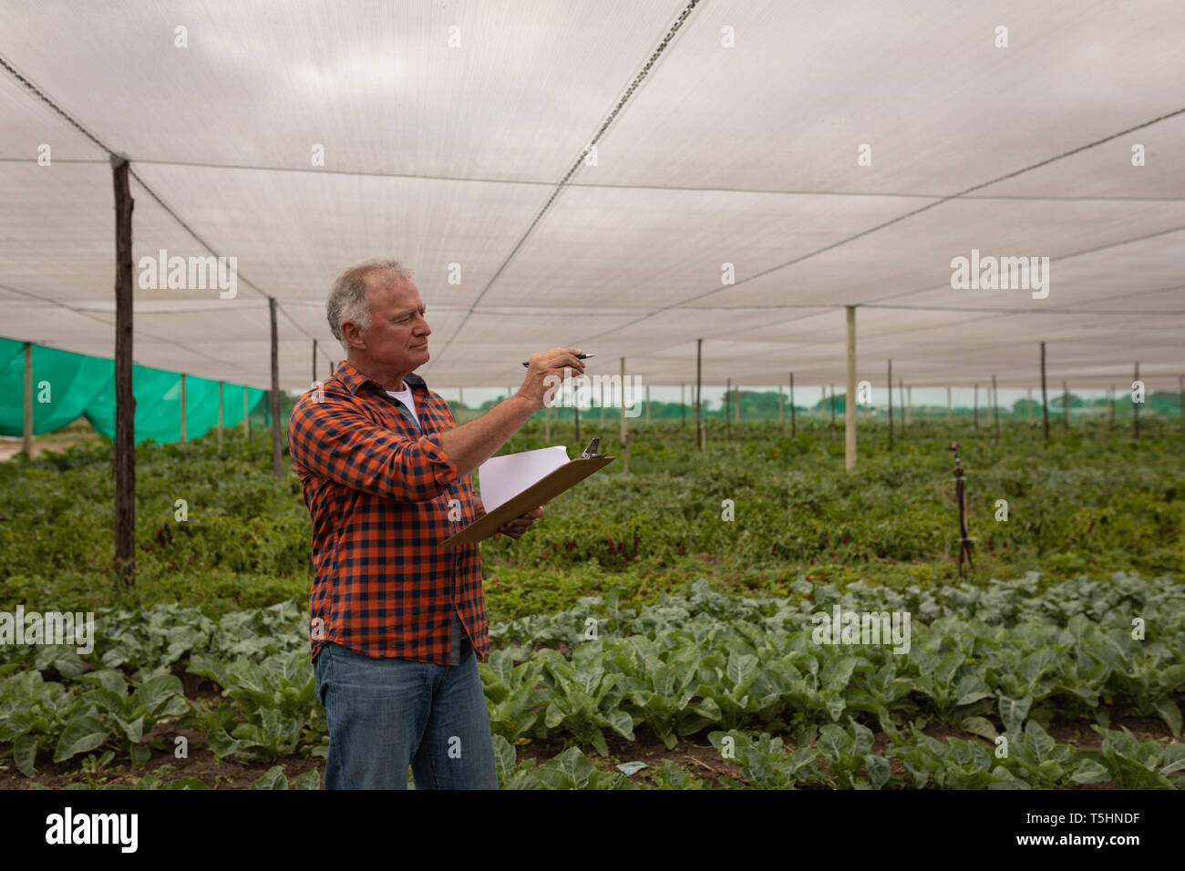 Farmer maintaining the record of plants on clipboard Stock Photo