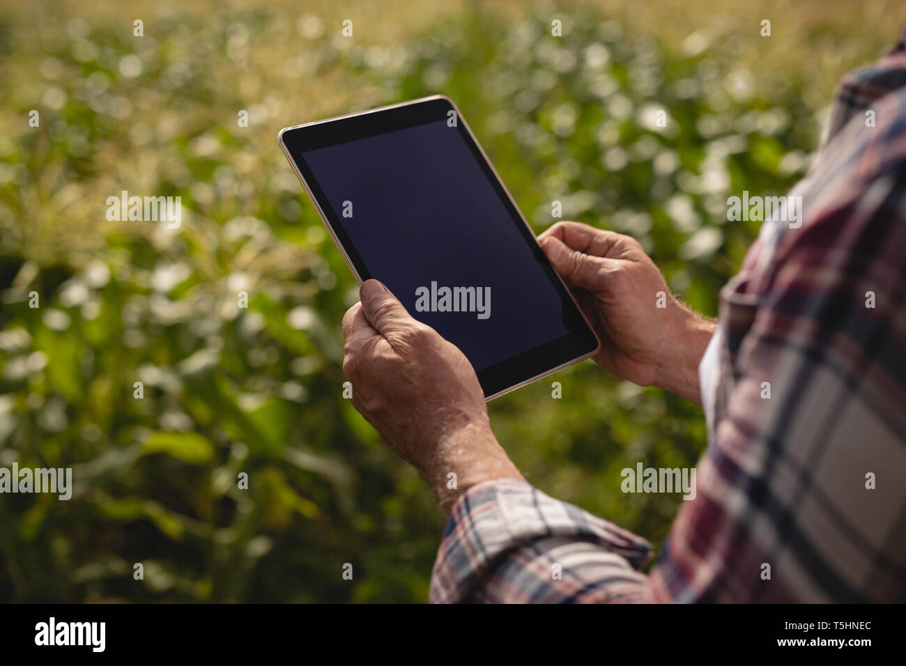 Male senior farmer using digital tablet while standing in farm Stock Photo