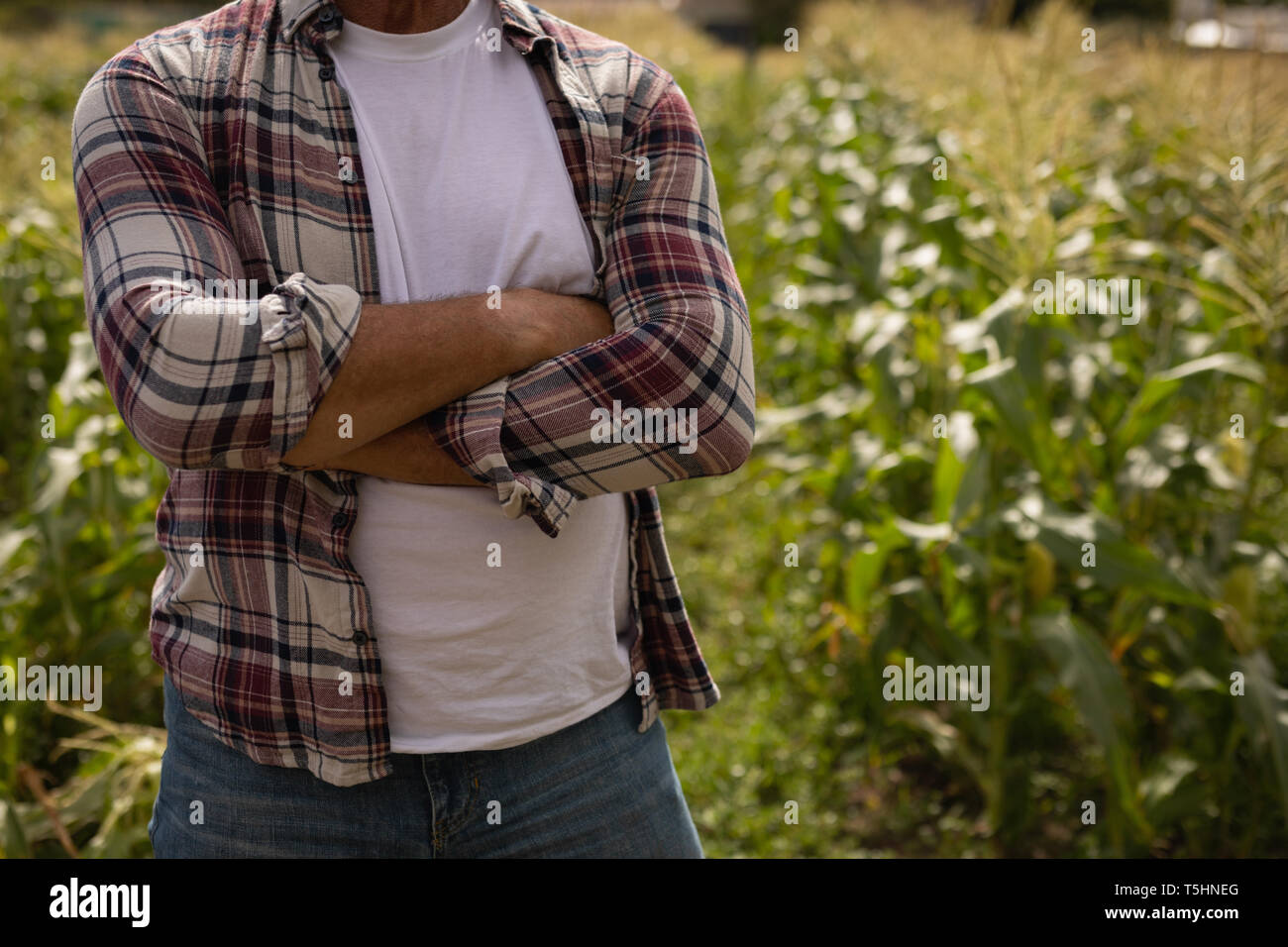 Senior male farmer standing with arm crossed in farm Stock Photo