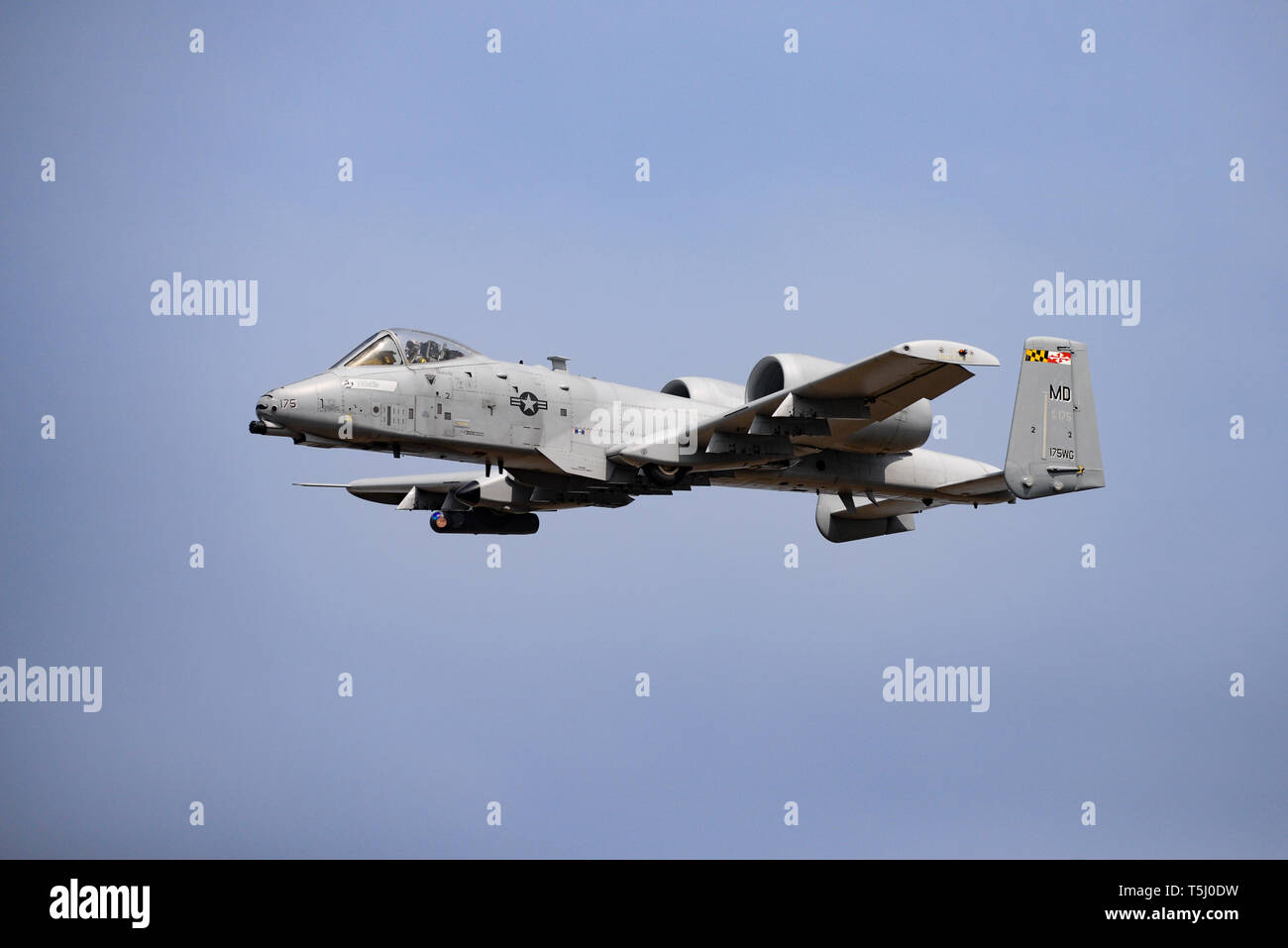 U.S. Air Force A-10C Thunderbolt II, from the 175th Wing of the Maryland Air National Guard, is flown by a 104th Fighter Squadron pilot during a 227th Air Support Operations Squadron JTAC Initial Qualification Training scenario, at the 177th Fighter Wing's Warren Grove Bombing Range, in Burlington County, N.J. April 18, 2019. The IQT prepares JTACS to take the next step towards becoming combat mission ready. (U.S. Air National Guard photo by Senior Master Sgt. Andrew J. Moseley) Stock Photo