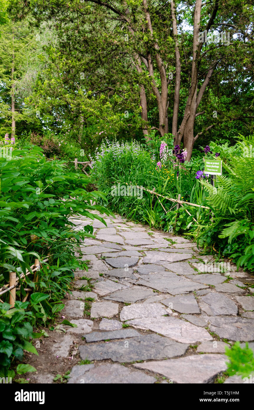 Shakespeare Garden Central Park New York Stock Photo 244414848