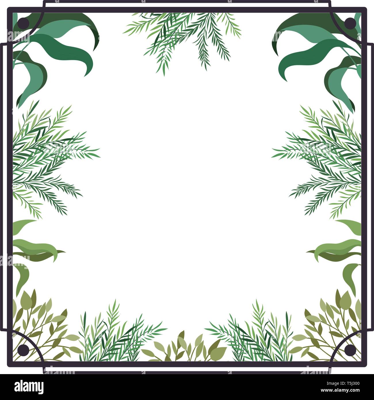 frame with foliage isolated icon Stock Vector Image & Art - Alamy