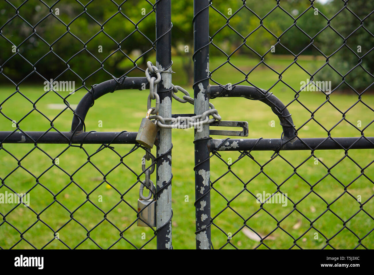 Front view of black colored gate with peeling paint locked with padlock and chain Stock Photo