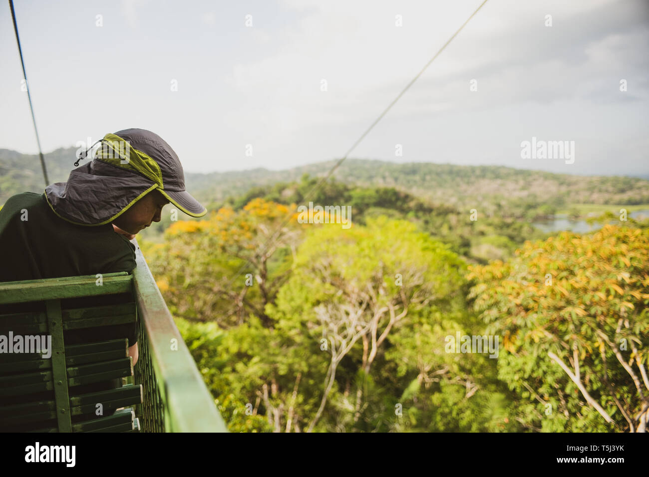 Gamboa Aerial Tram Tour Stock Photo Alamy