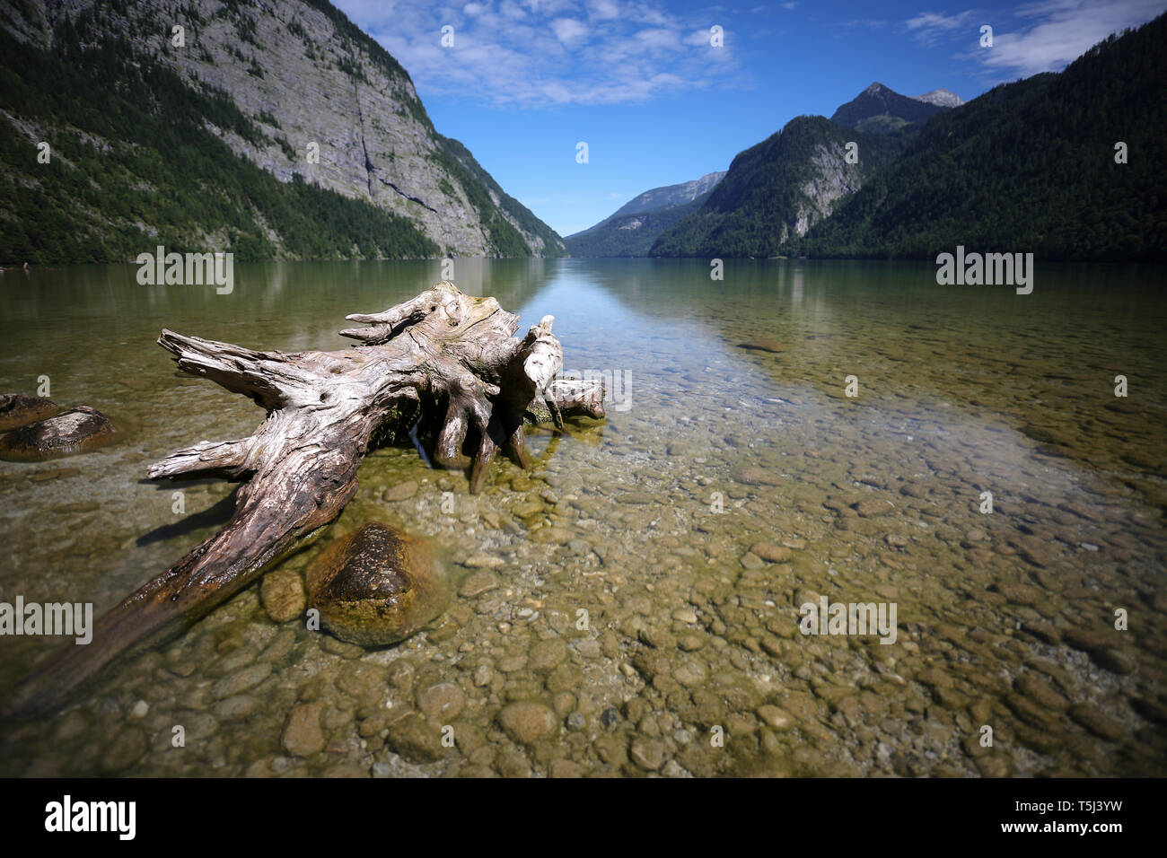 Root See Germany, Bavaria, Koenigssee, root Stock Photo - Alamy