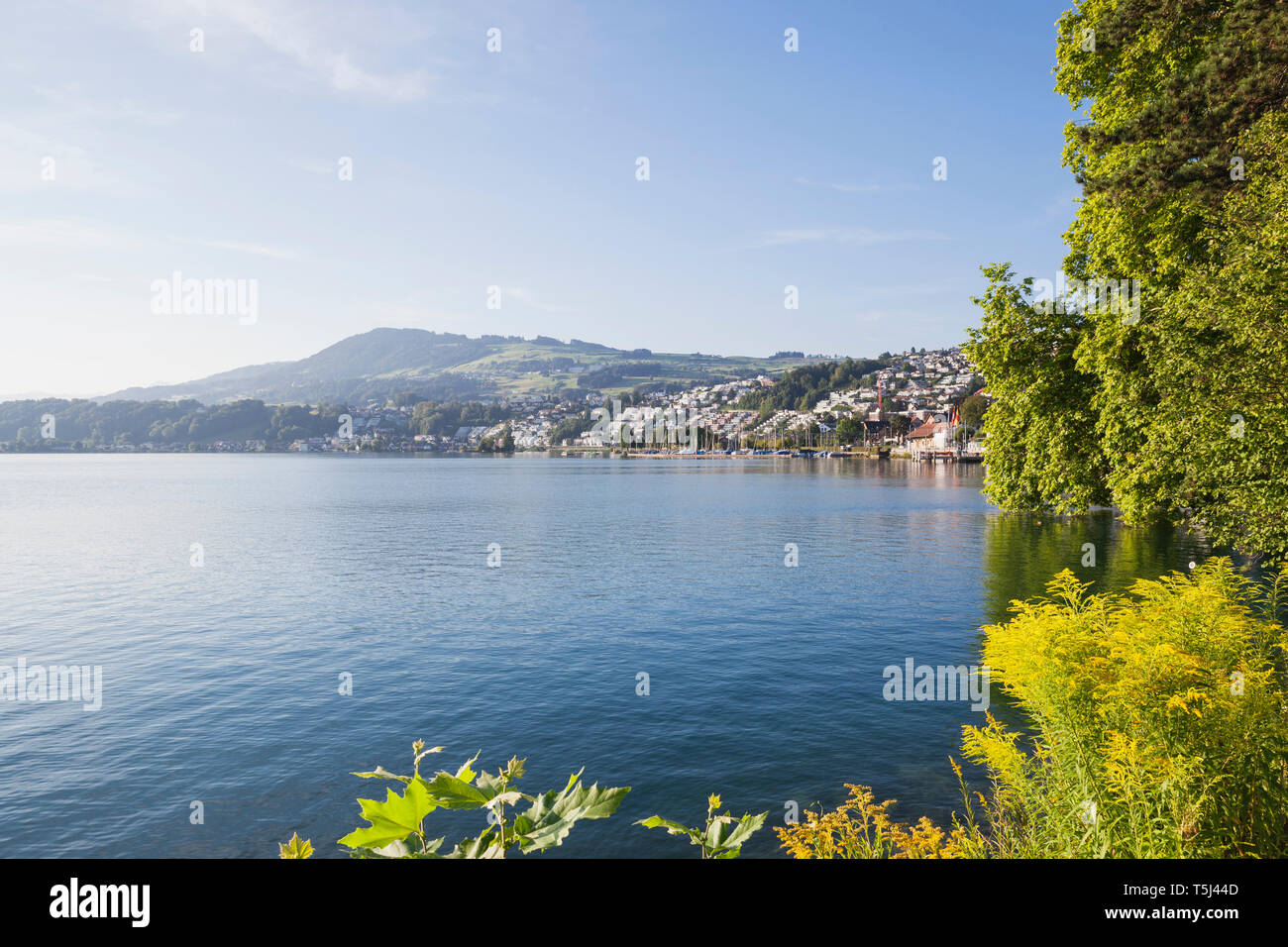 Switzerland, Canton Zurich, Lake Zurich, Richterswil Stock Photo