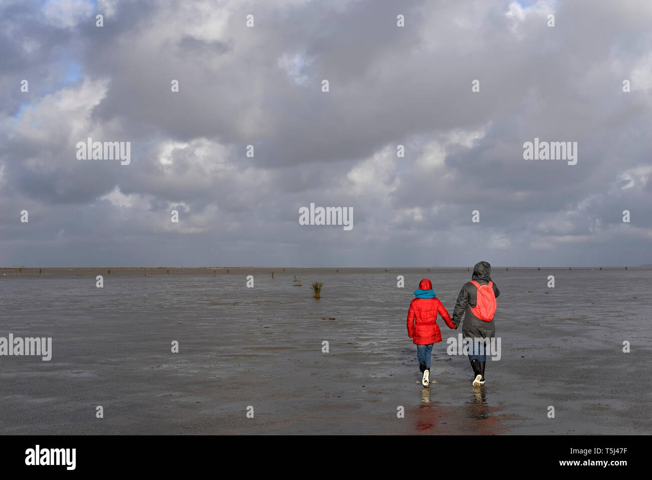 Germany, Lower Saxony, North Sea,     Hamburg Wadden Sea National Park, Neuwerk, low tide, mother and daughter walking in mudflat Stock Photo