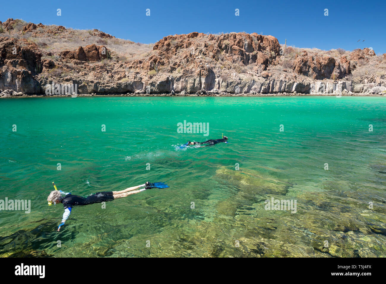 Snorkeling in a cove in Bay of Loreto Nat. Park, Baja California Sur