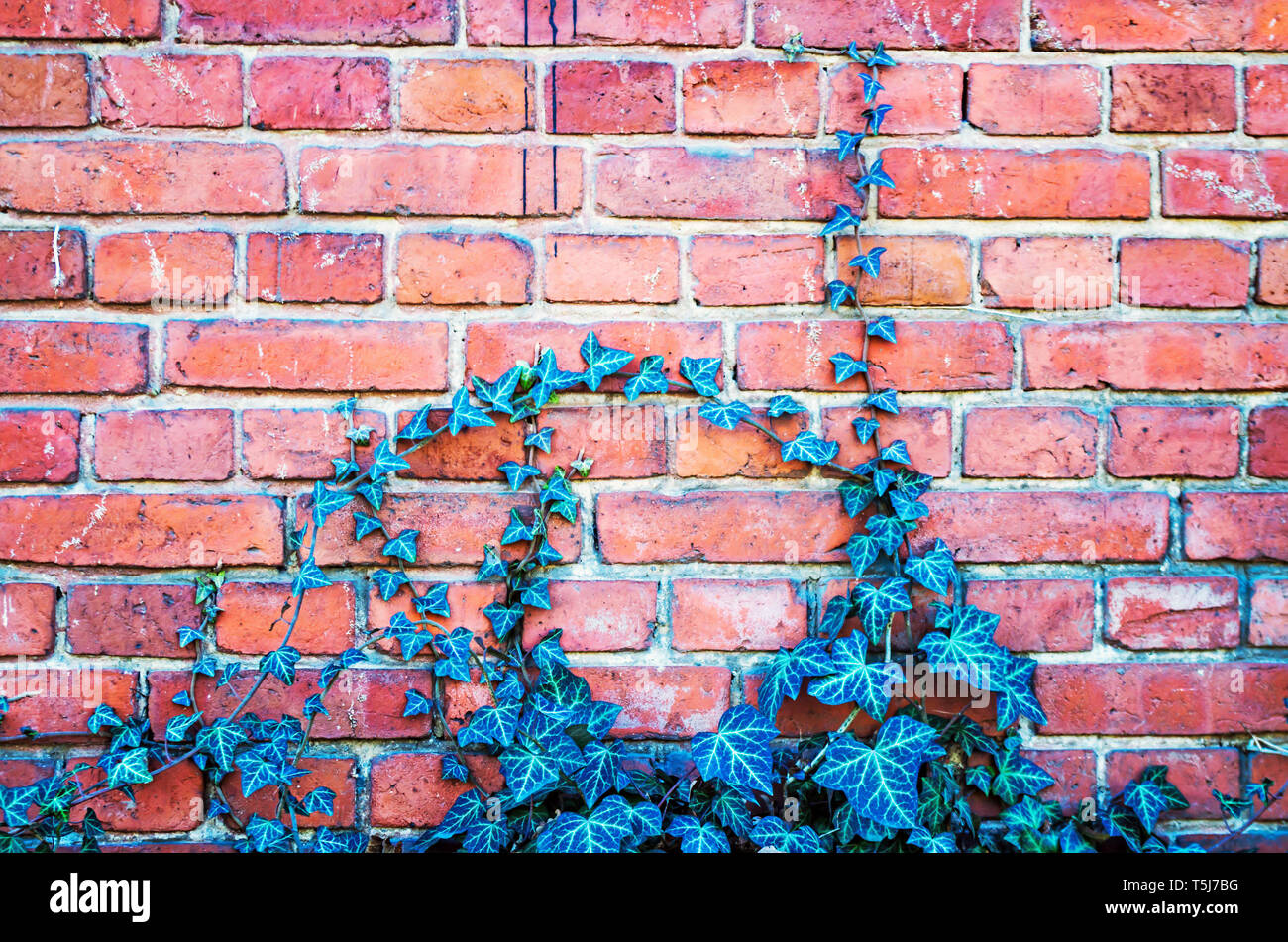 Full frame shot of brick wall Stock Photo - Alamy