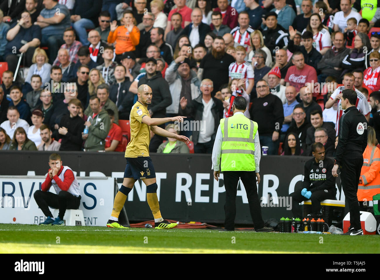19th April 2019 Bramall Lane Sheffield England Sky Bet