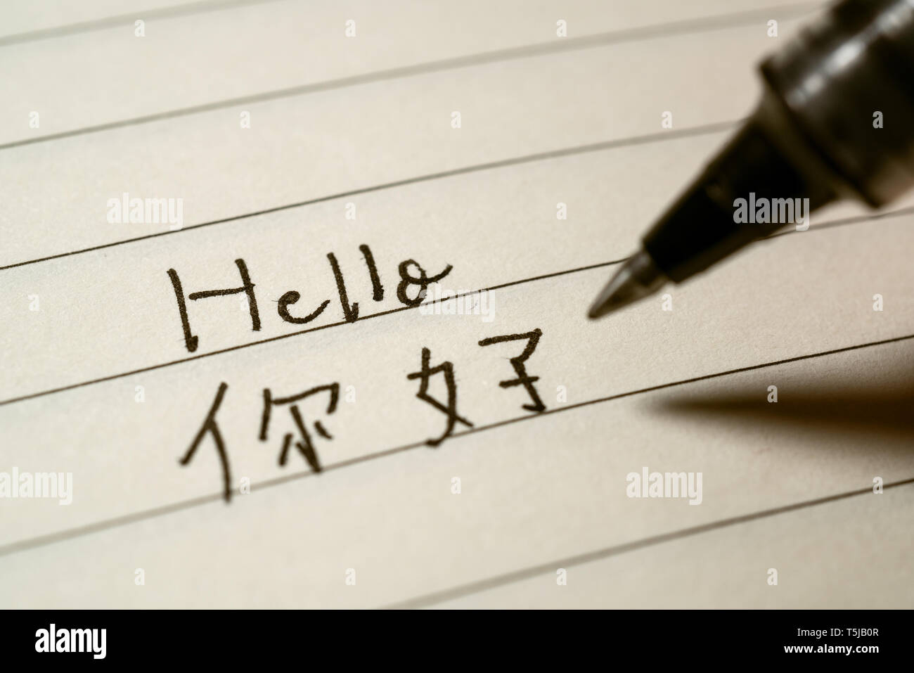 Beginner Chinese language learner writing Hello word Nihao in Chinese characters on a notebook close-up shot Stock Photo