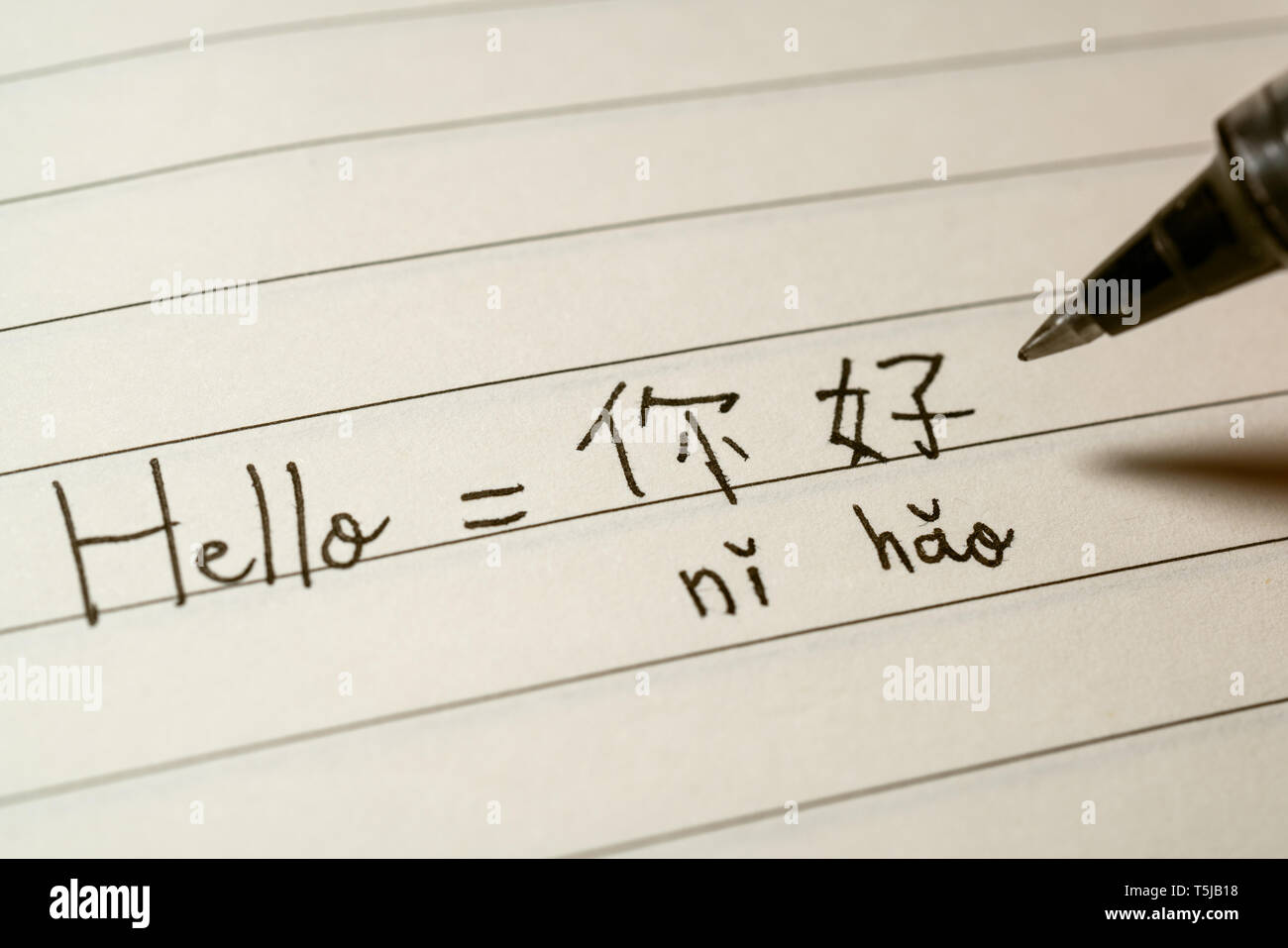 Beginner Chinese language learner writing Hello word Nihao in Chinese characters and pinyin on a notebook macro shot Stock Photo