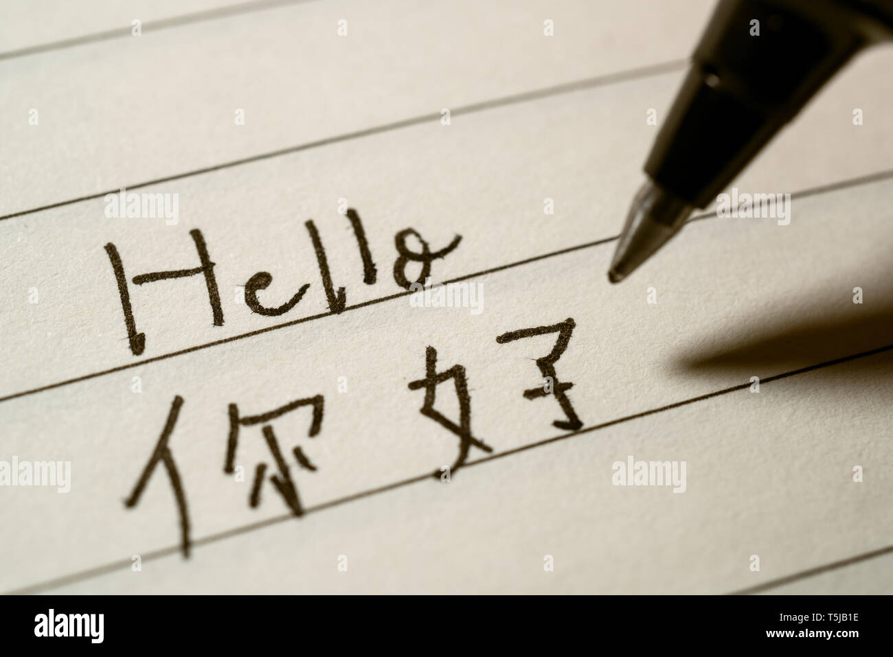 Beginner Chinese language learner writing Hello word in Chinese characters on a notebook macro shot Stock Photo