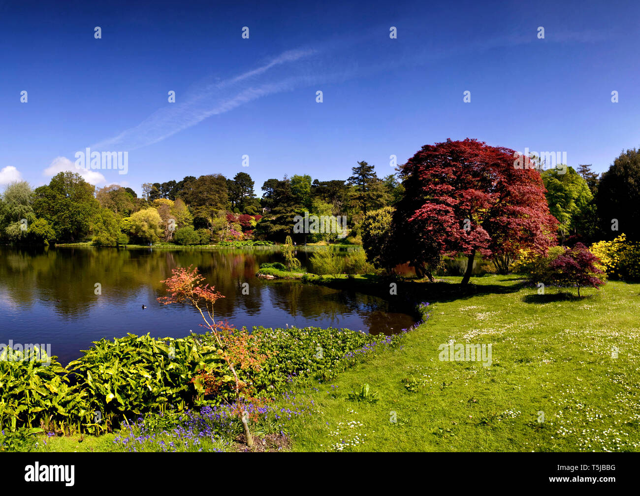 The Lake at Mount Stewart Gardens Greyabbey County Down Northern ...