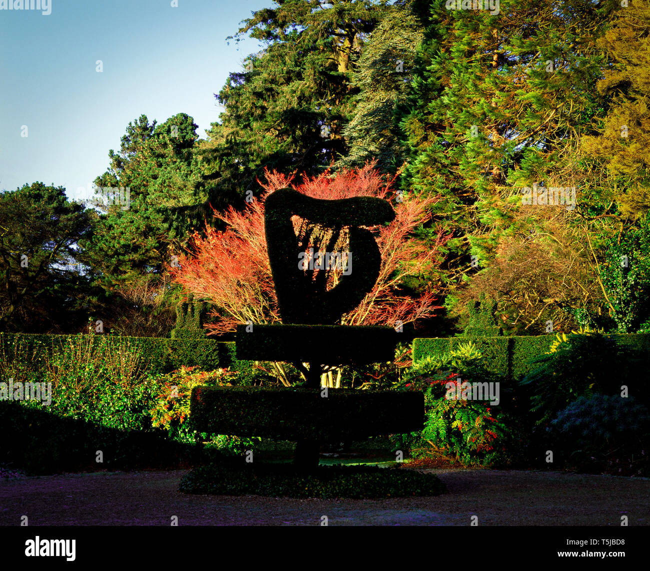 Irish Harp in the gardens of Mount Stewart House Greyabbey County Down Northern Ireland Stock Photo