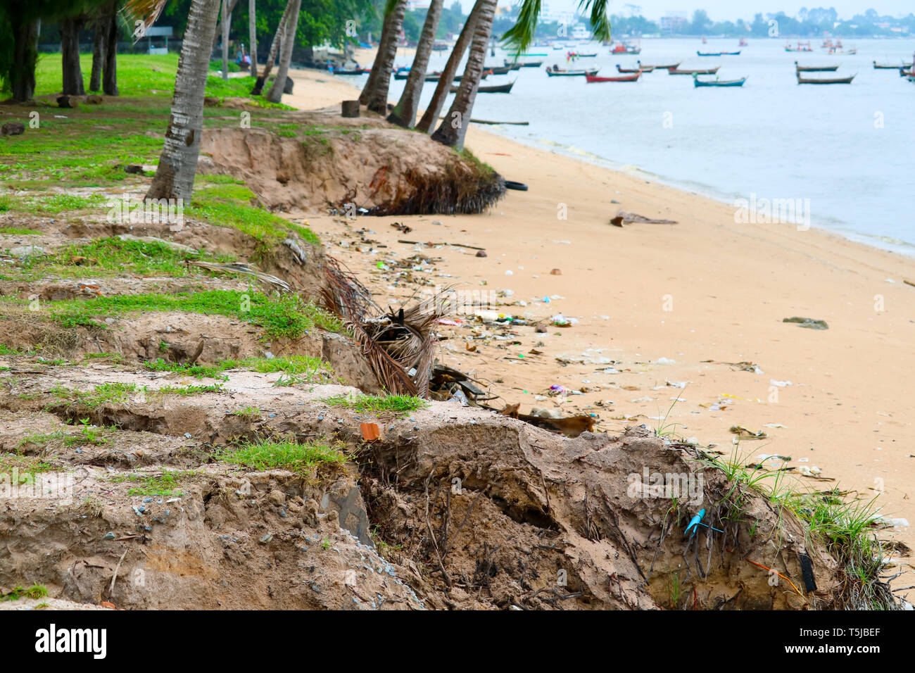 Damage coconut hires stock photography and images Alamy