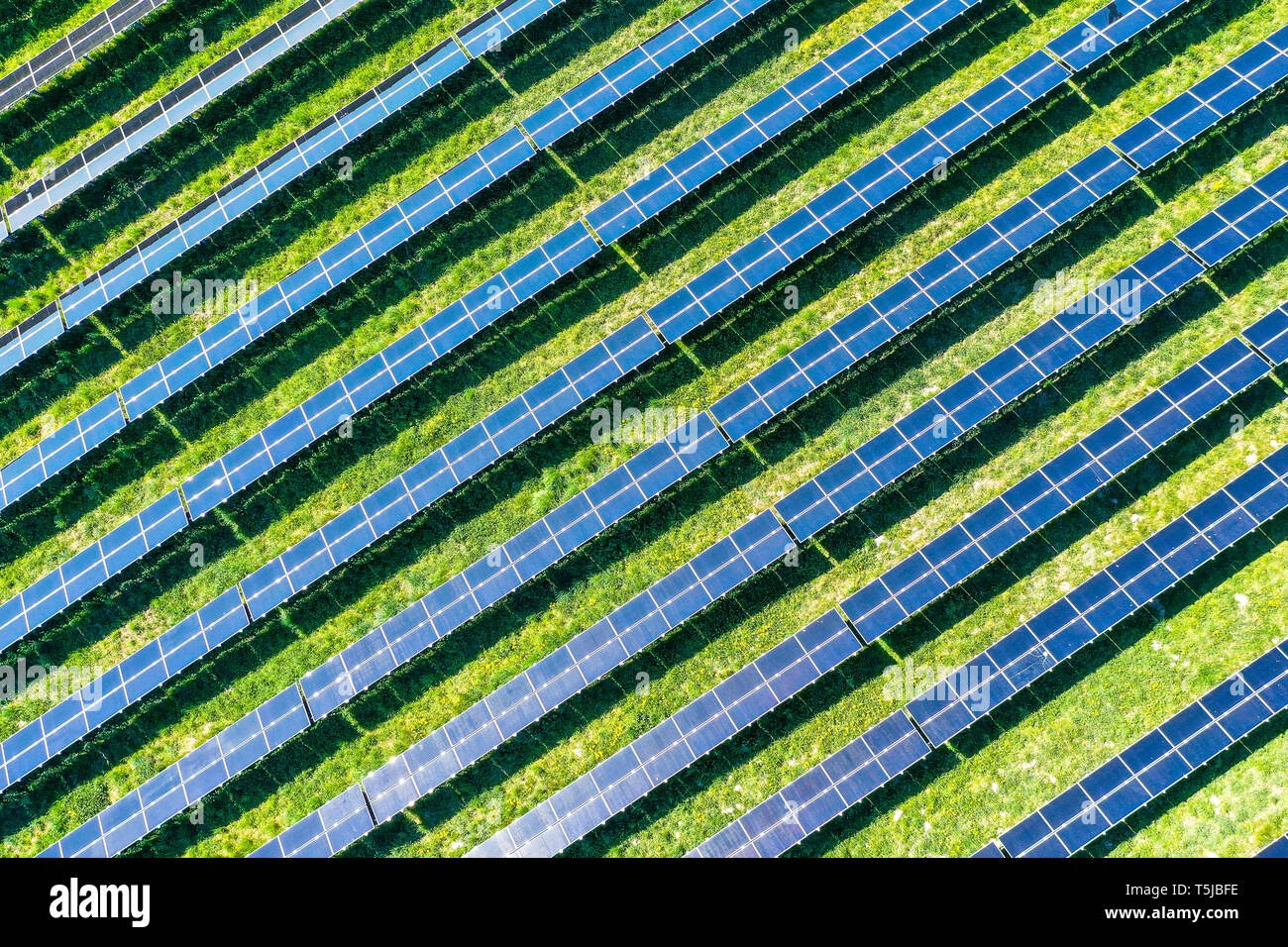 aerial view of solar panels - top view Stock Photo