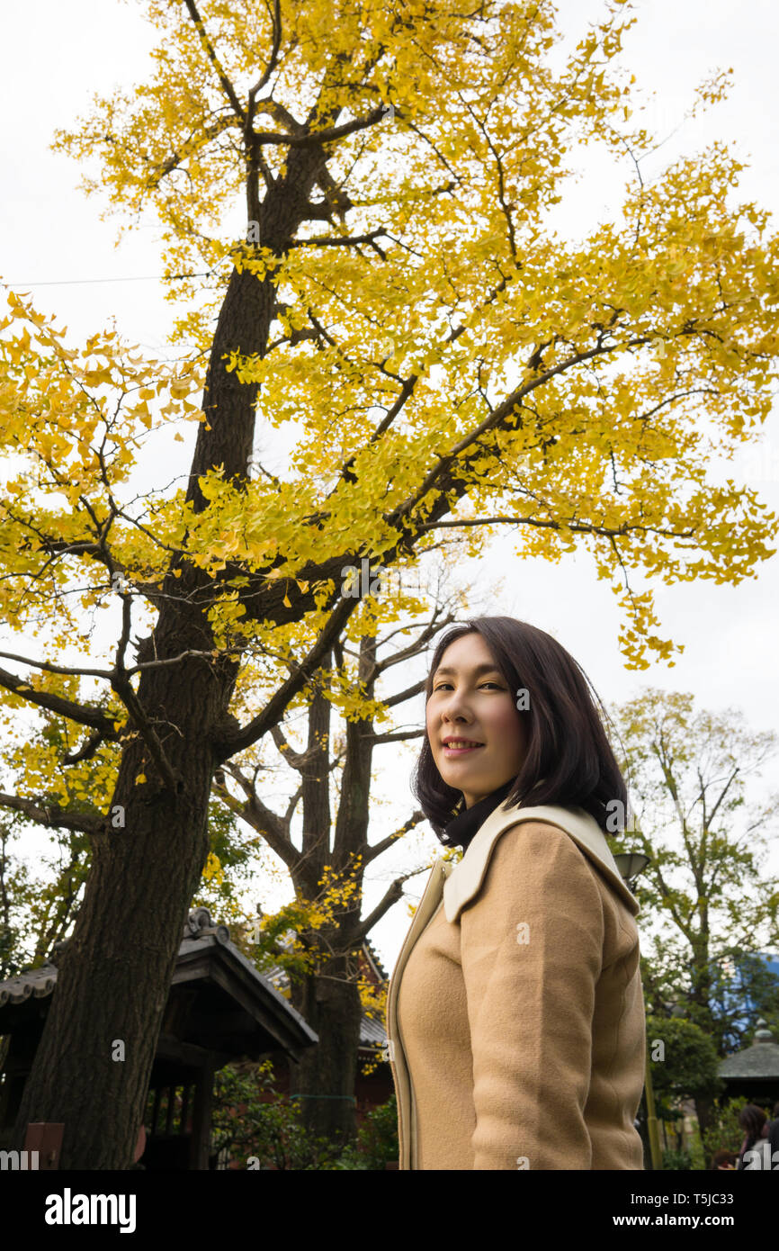 Irene Portrait with Autumn Ginkgo Trees Background Stock Photo