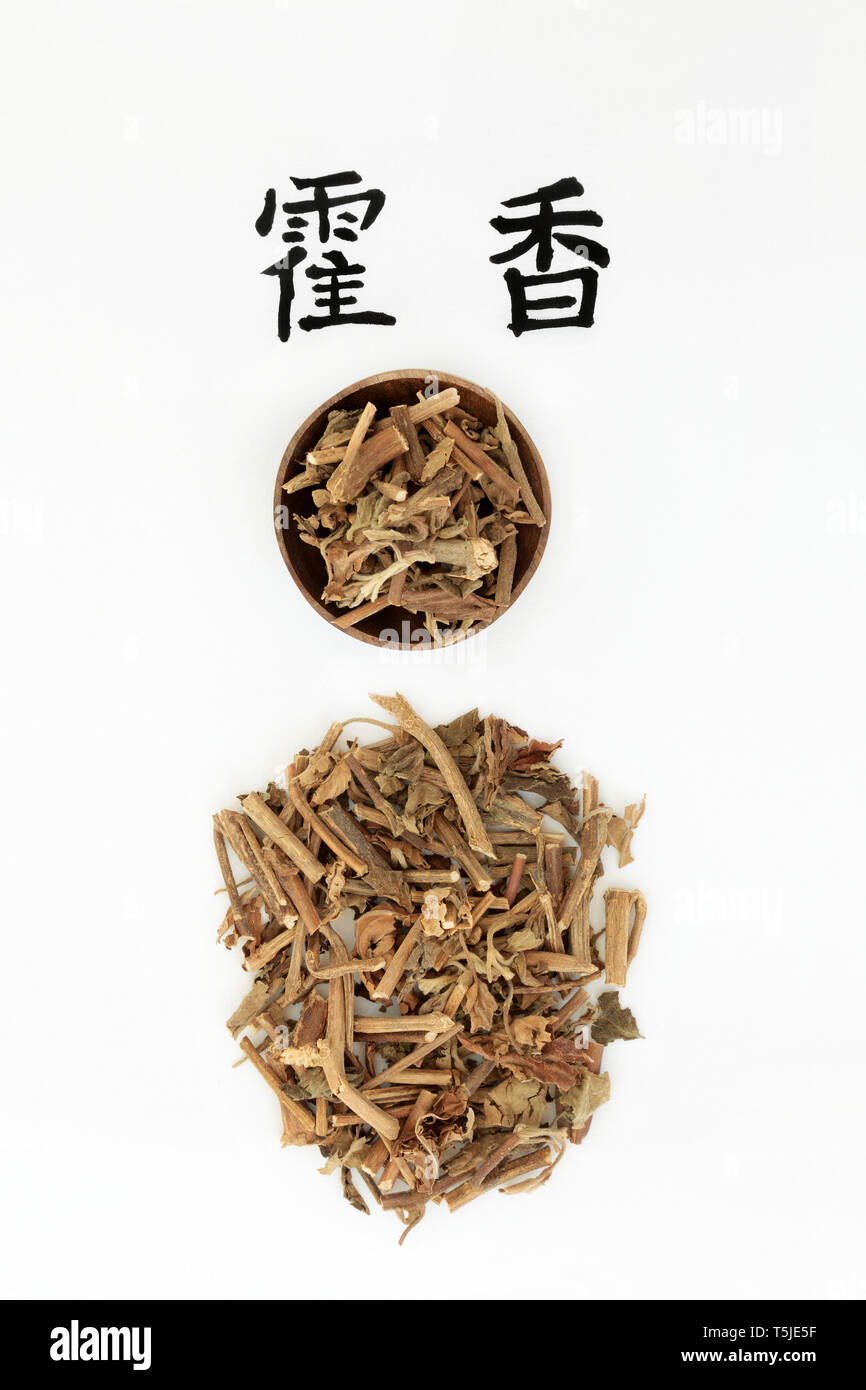 Korean mint herb used in chinese herbal medicine with calligraphy