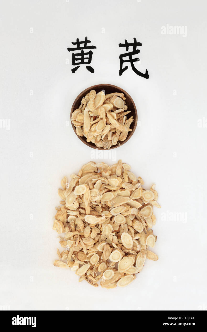 Astragalus root herb used in chinese herbal medicine with calligraphy script. Boosts the immune system & protects the cardiovascular system. Stock Photo