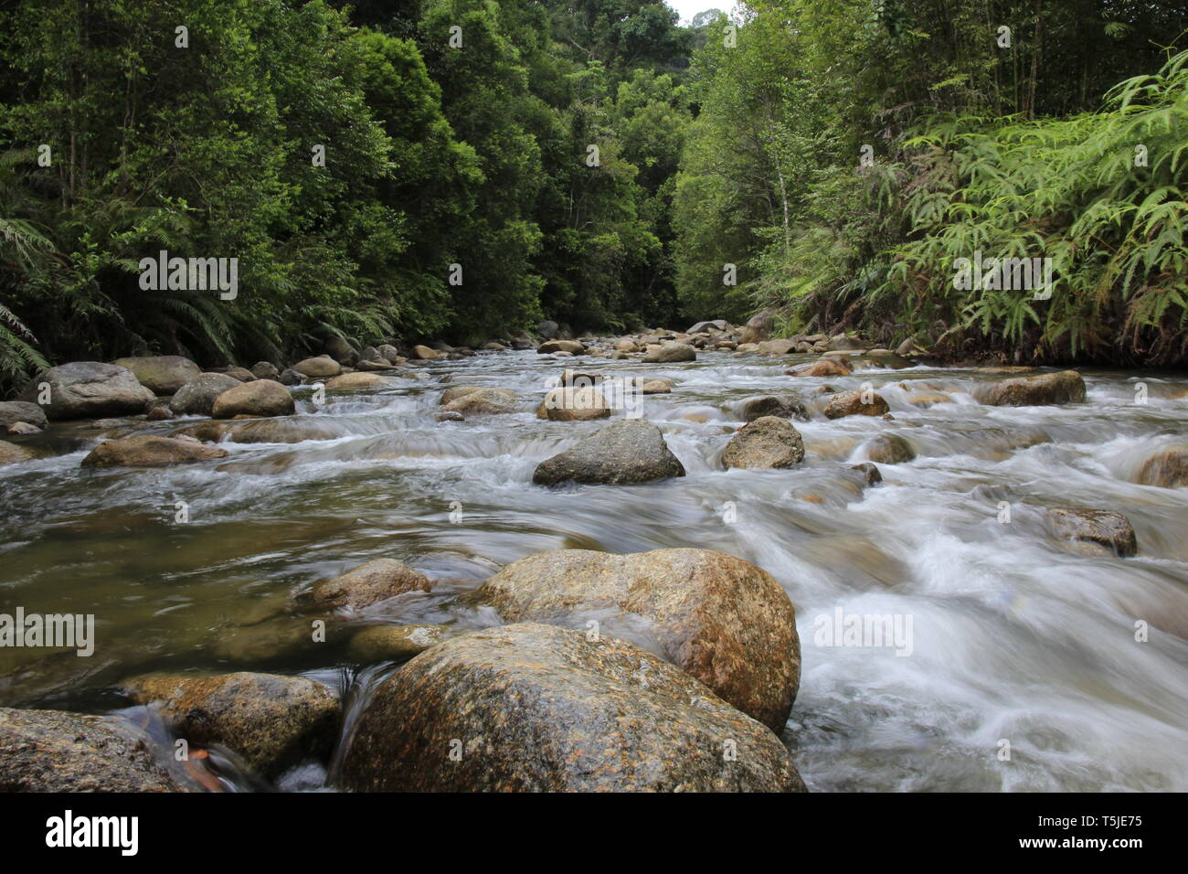 Sungai Chiling Fish Sanctuary, Kuala Kubu, Selangor, Malaysia Stock Photo