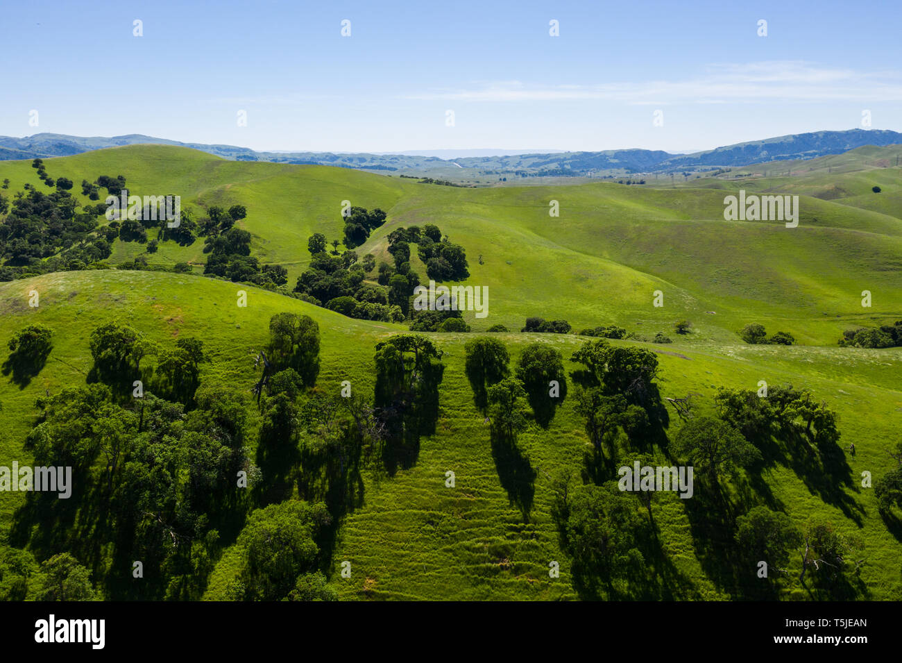 An aerial view of rolling hills in Northern California's tri-valley region shows lush, green grass that flourished after a wet winter. Stock Photo