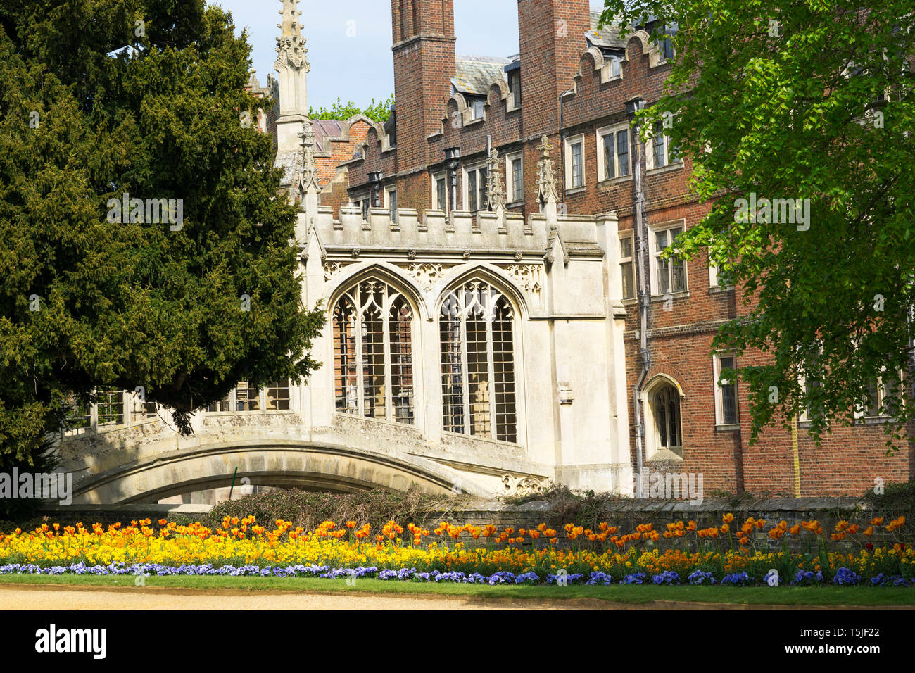 Bridge of Sighs St Johns College from west side of river Cam Stock Photo