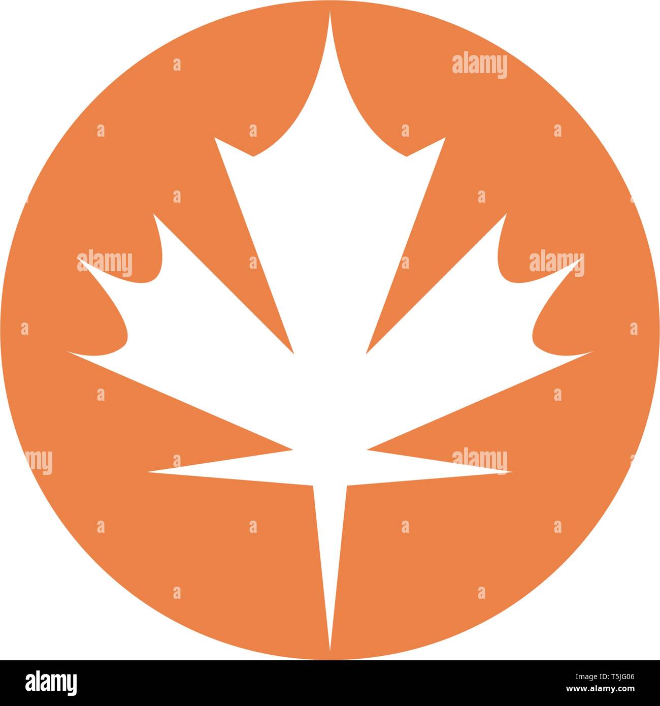 Maple leaf vector illustration design template Stock Vector Image & Art ...
