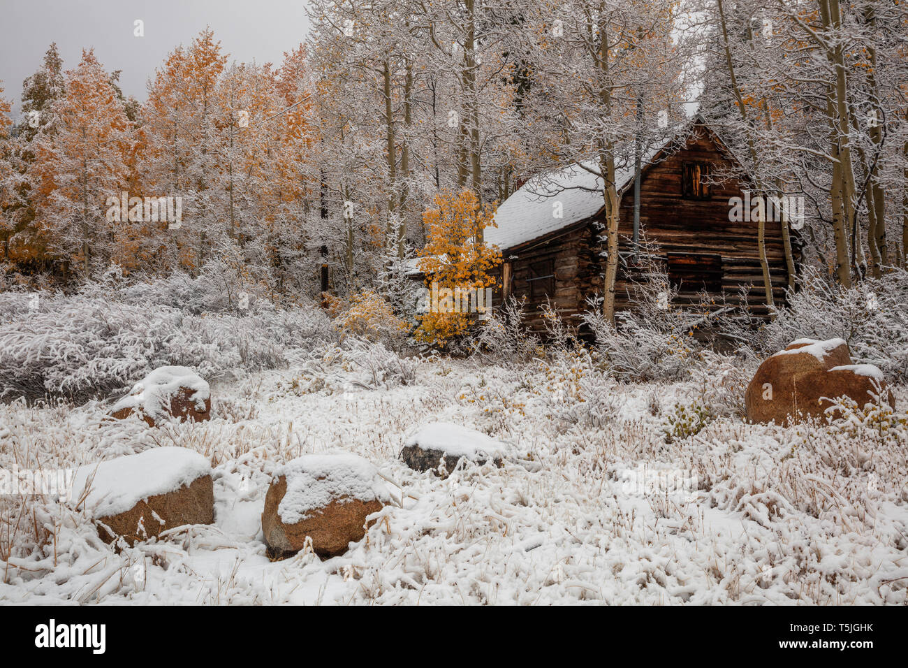 Abandoned Log Cabin Stock Photos Abandoned Log Cabin Stock