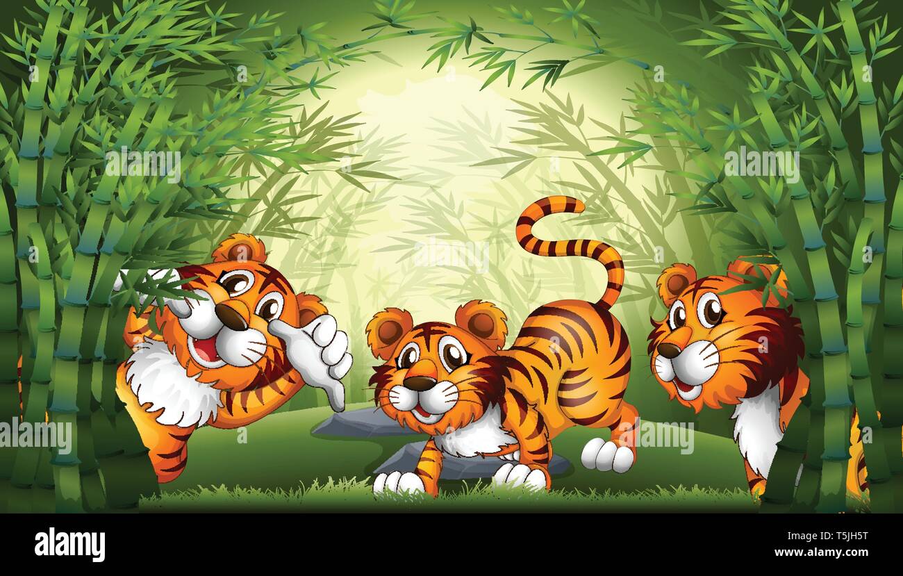 Tiger in bamboo forest illustration Stock Vector