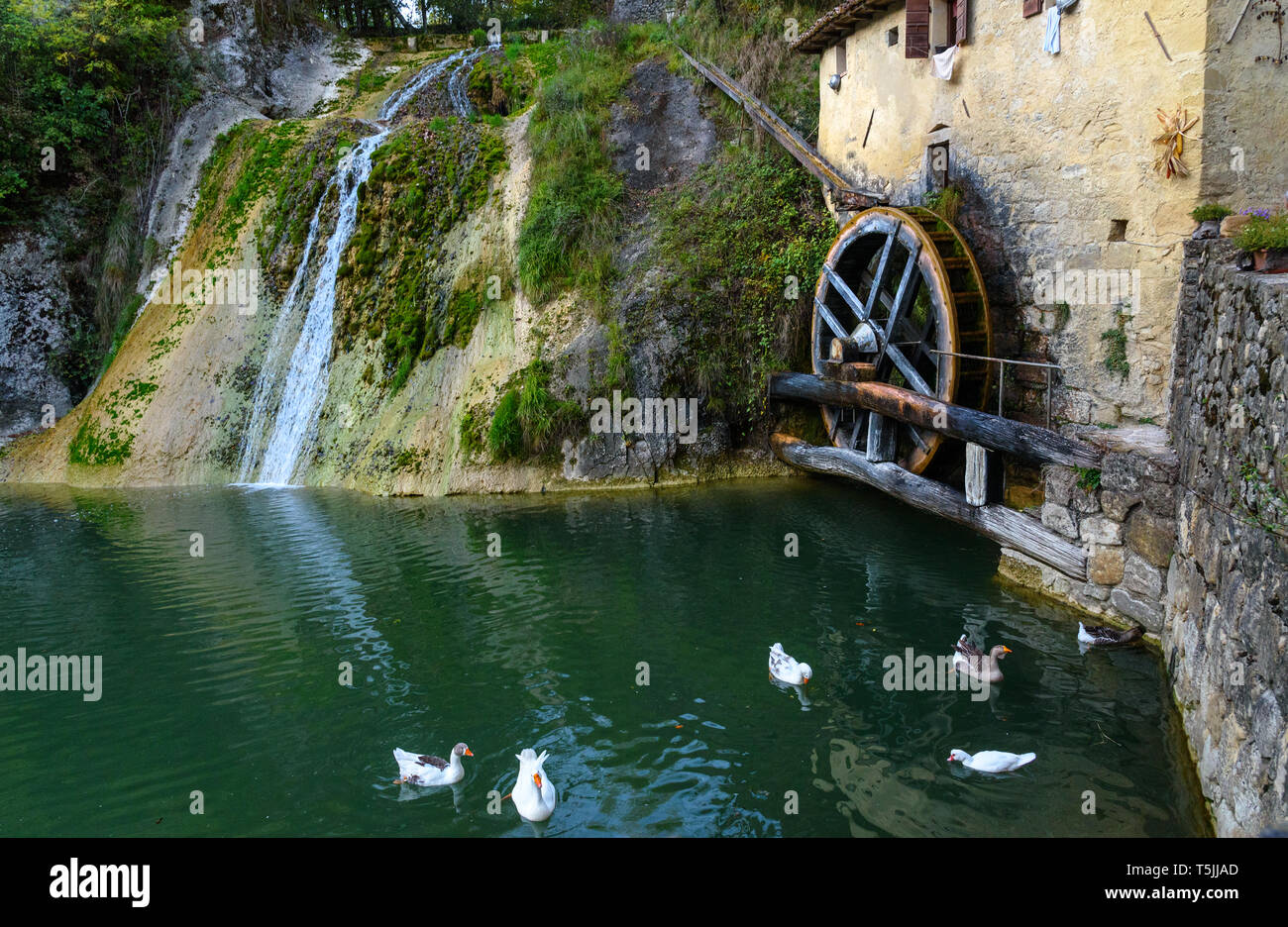 Ancient watermill wheel, Molinetto della Croda in Lierza valley. Refrontolo. Province of Treviso. Italy Stock Photo