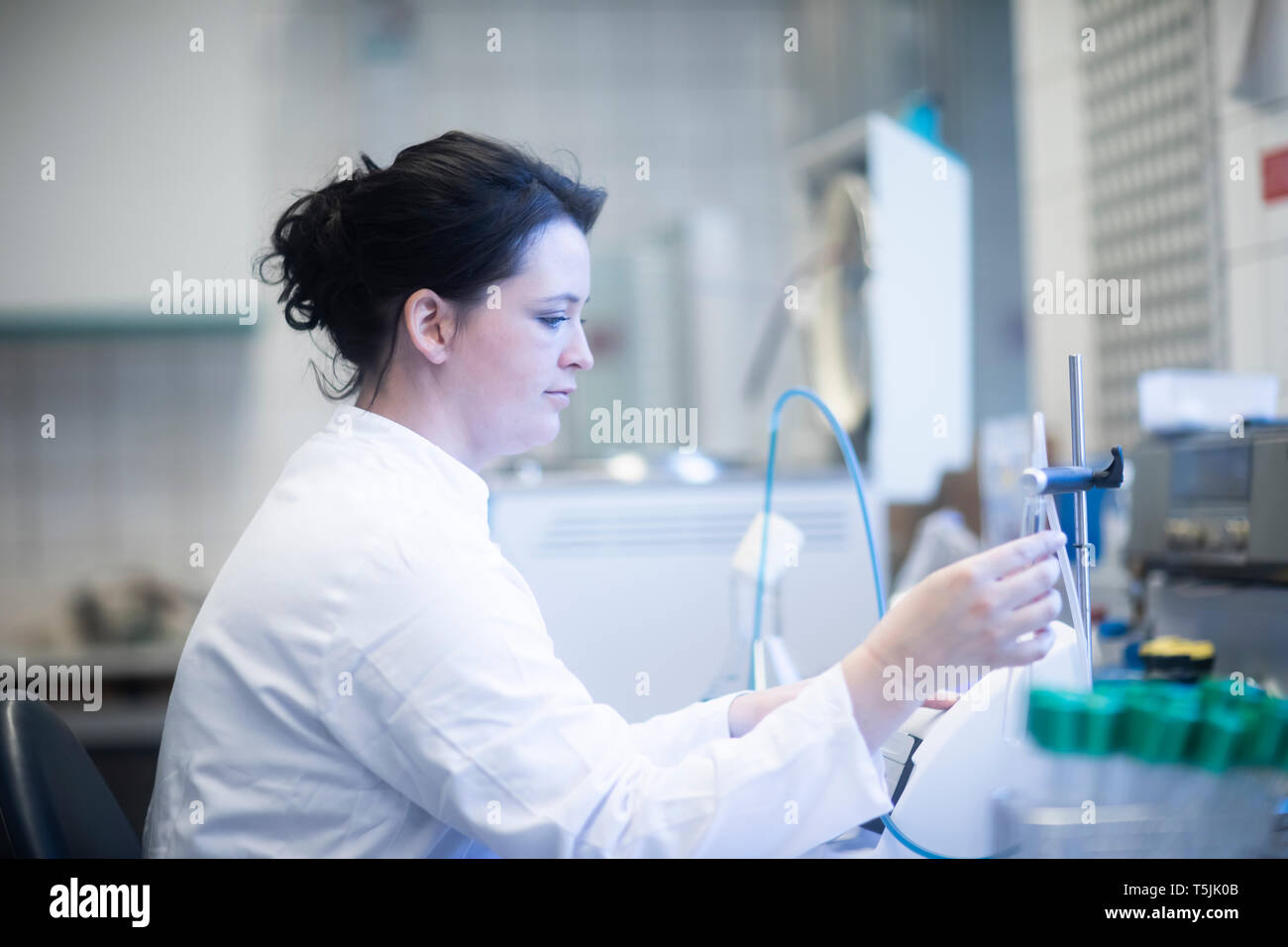 Woman working in lab Stock Photo