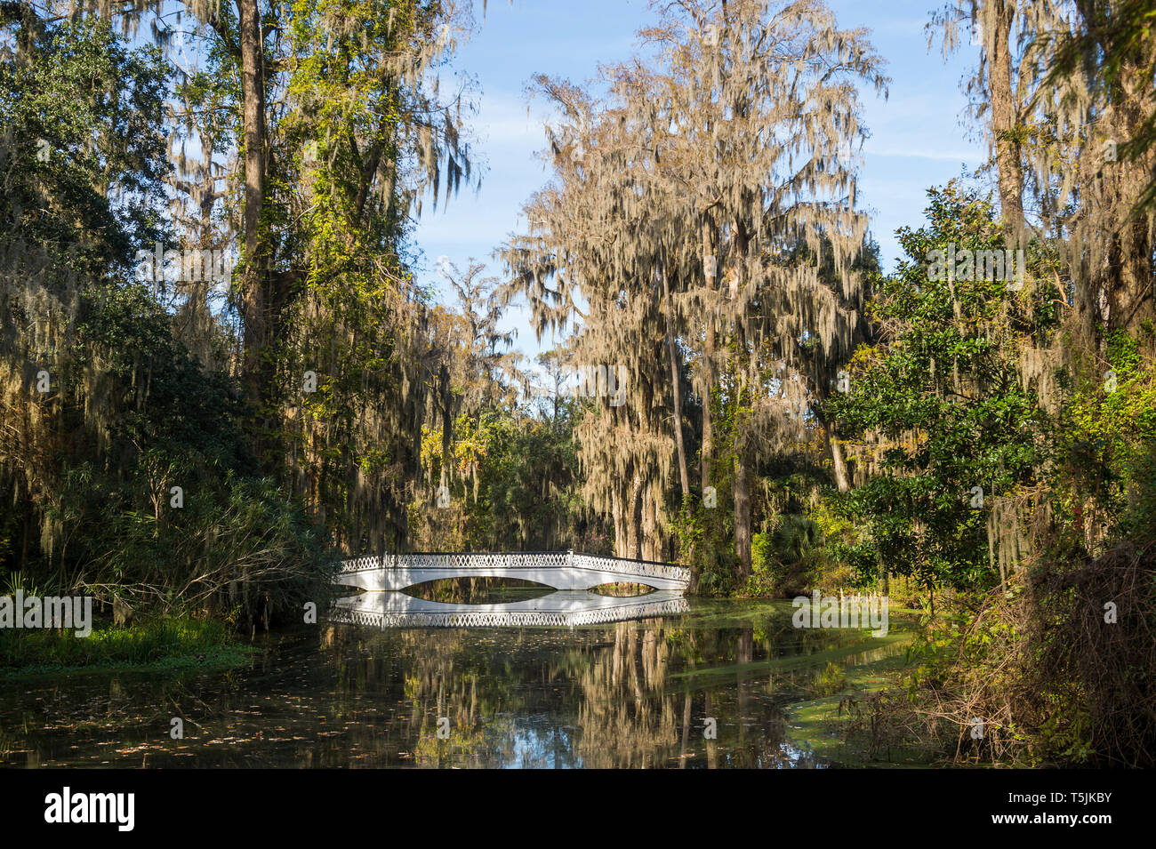 USA, South Carolina, Charleston, White bridge reflecting in a pond in the Magnolia Plantation Stock Photo