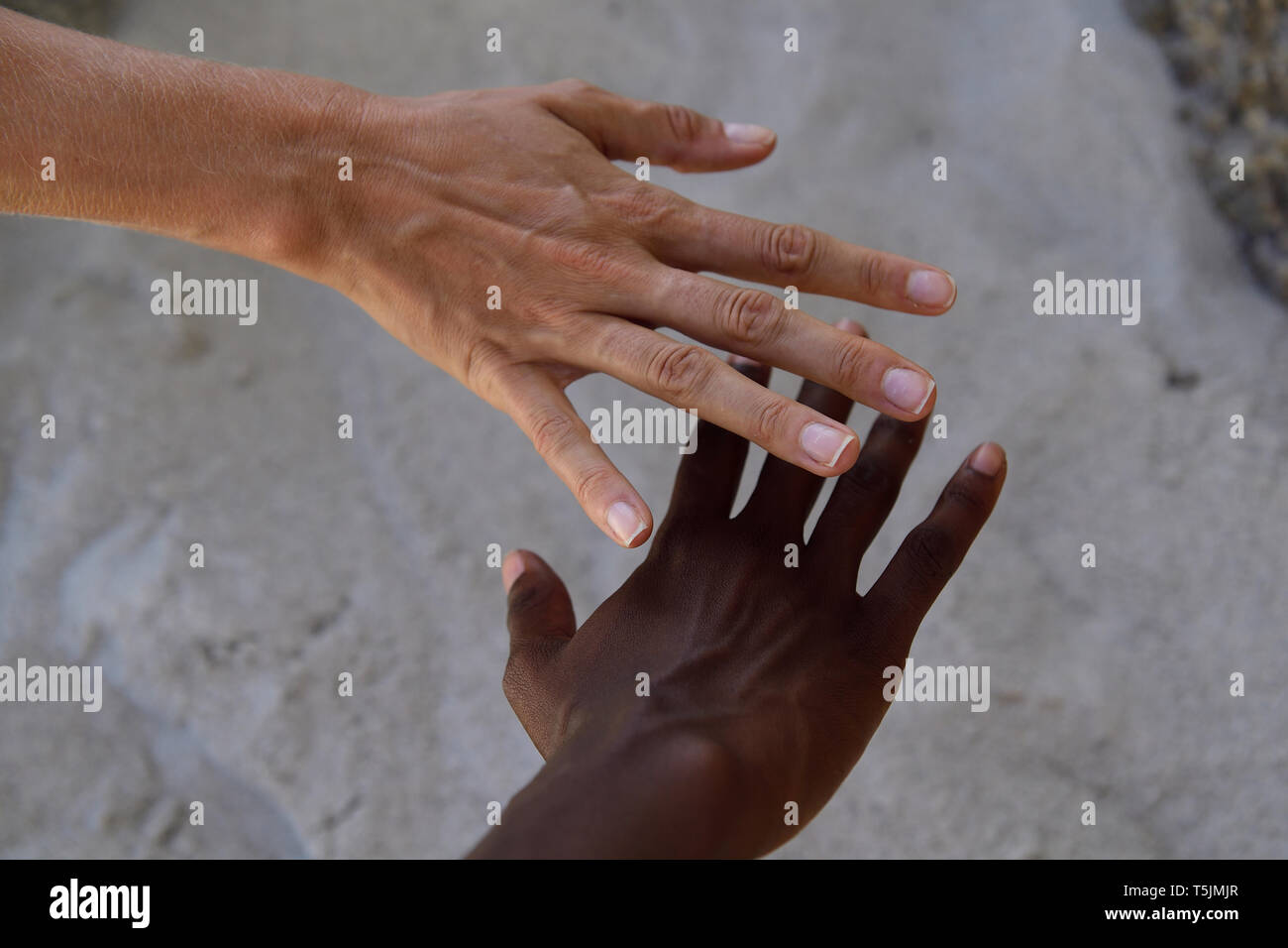 Hands of two women Stock Photo