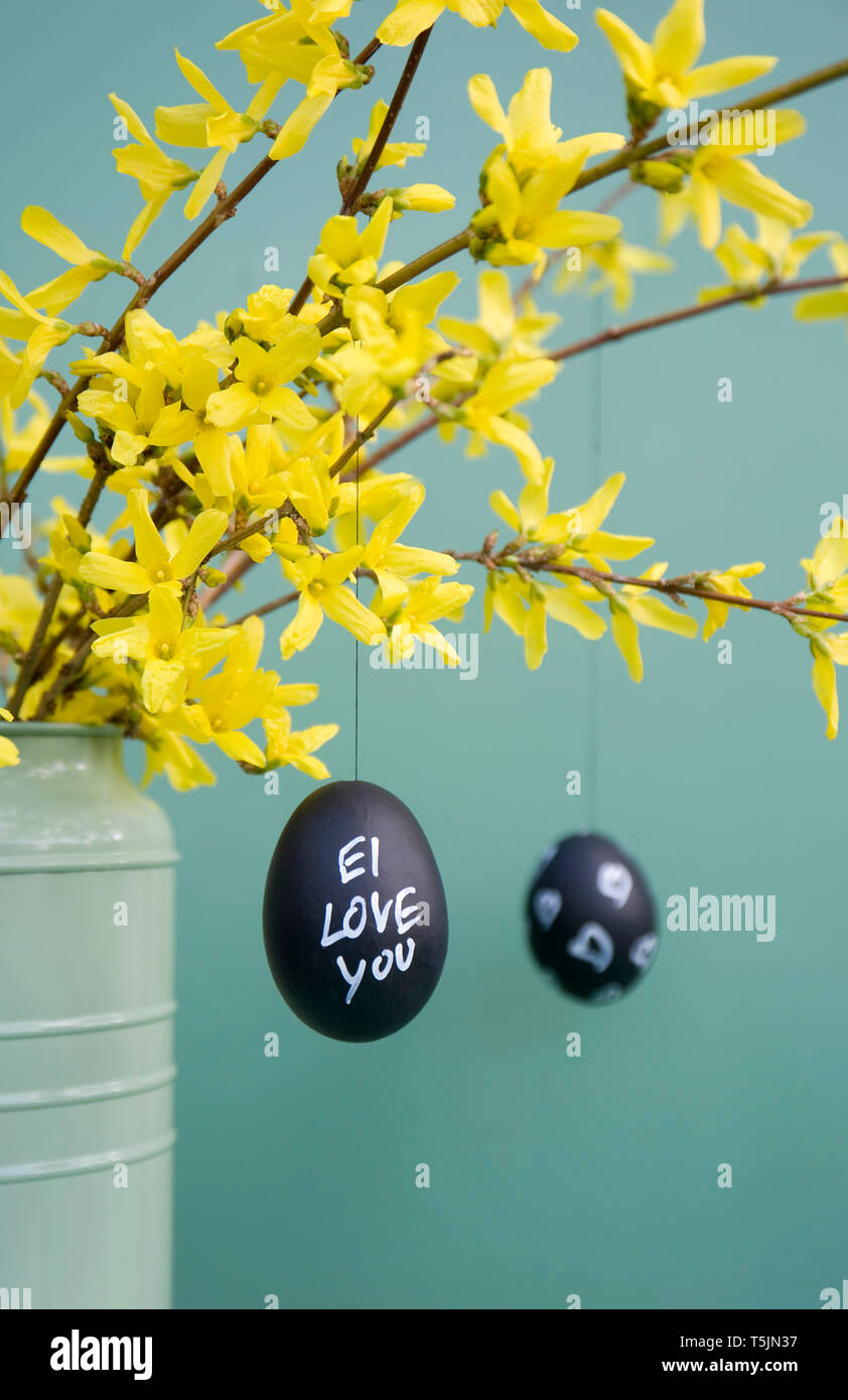 Hand-painted Easter eggs hanging from Forsythia twigs Stock Photo