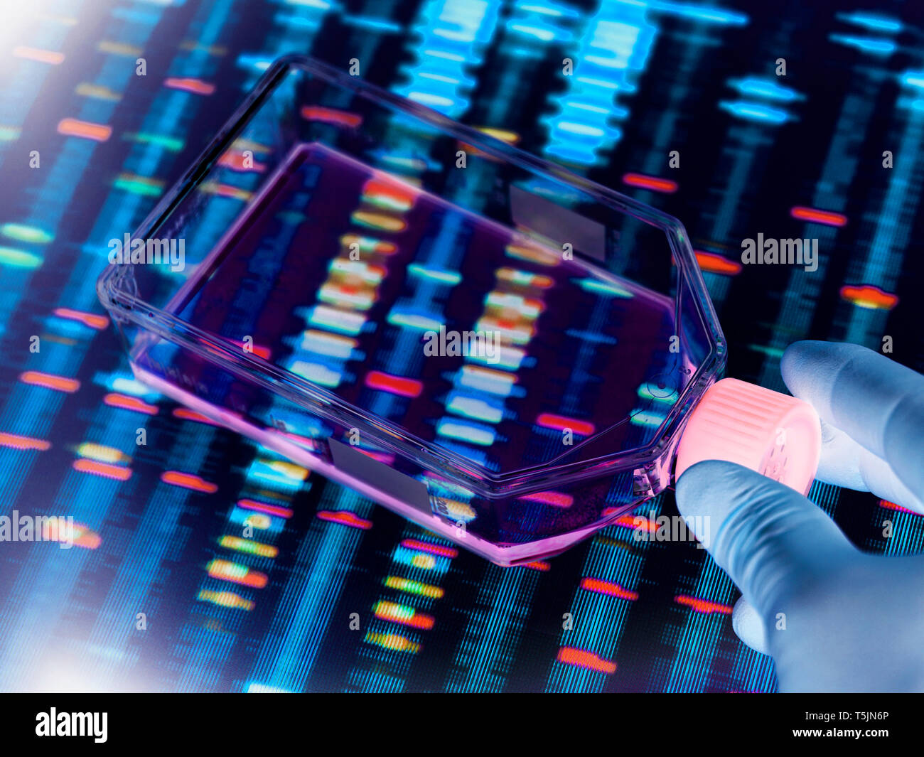 Genetic Engineering, Scientist viewing cells in a culture jar with a DNA profiles on a screen in the background illustrating gene editing Stock Photo