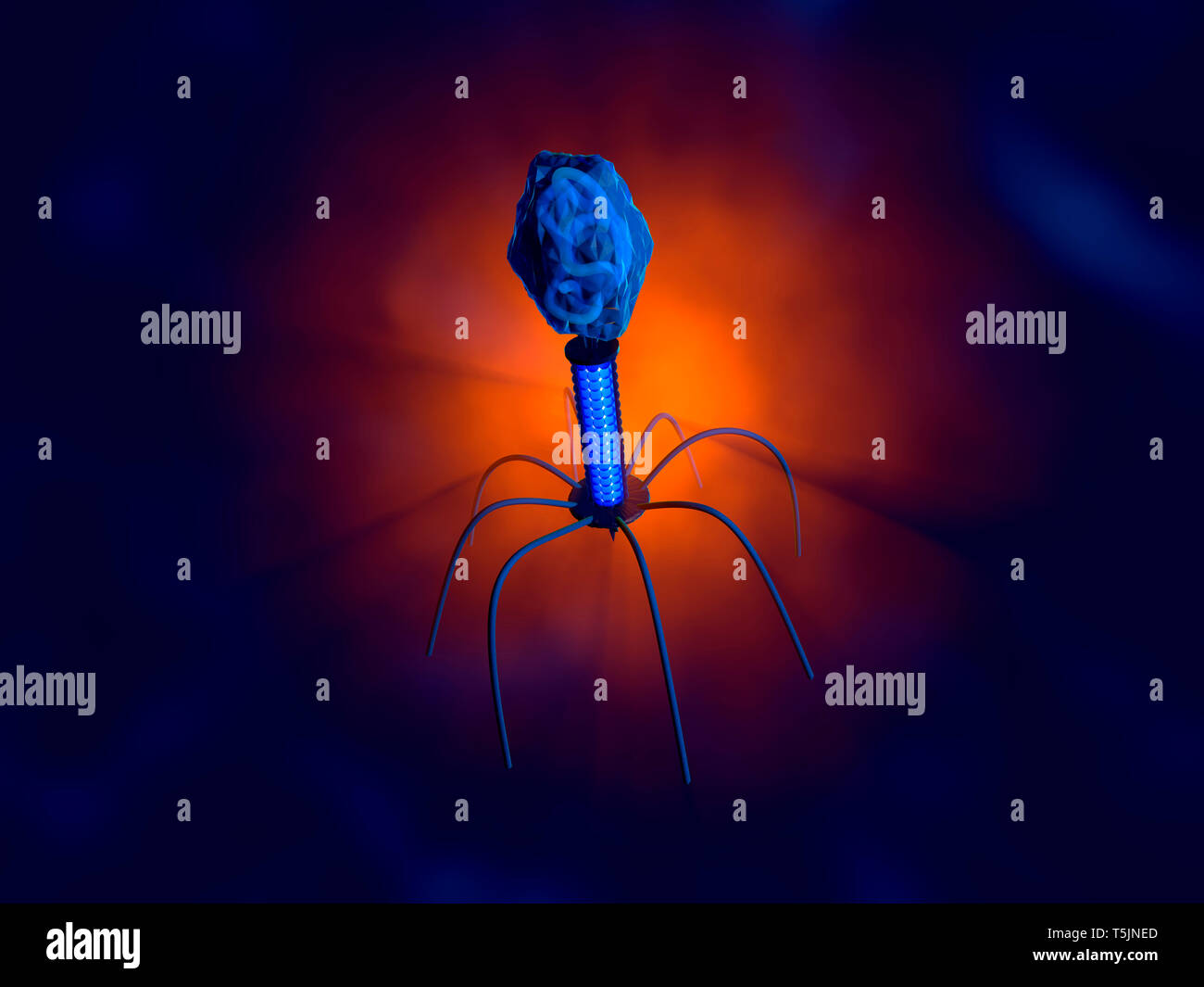 3D rendered Illustration of a anatomically correct convergence to a ...