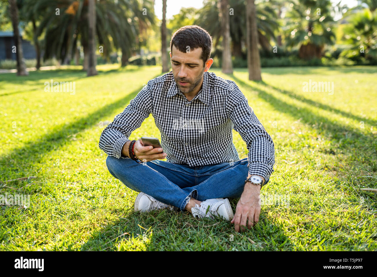 Man sitting on meadow in city park looking at cell phone Stock Photo